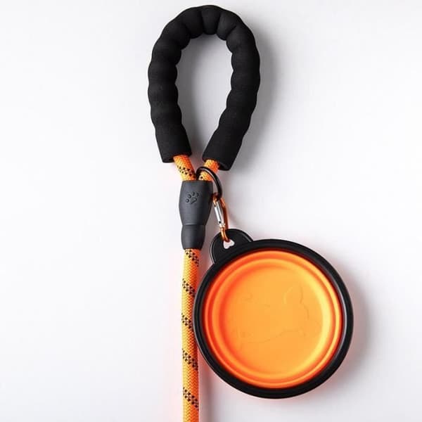 (Orange) Nylon hundetrækketov, snor, tilbagekaldsrem, lang kæledyrssnor, ideel