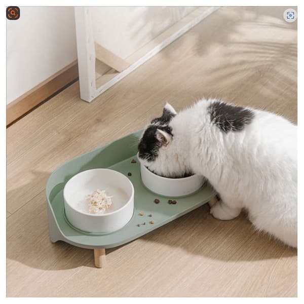 Sæt med kattefoder- og vandskåle - Forhøjede skåle med stænkskærm - 2 x 480 ml - 16.2