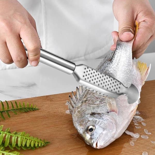 Fiskeskraper i rustfritt stål med ingefærrivjern-design for profesjonelle og hjemmekokker