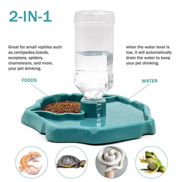 Reptil vanndispenser - 2-i-1 reptildispenser - Automatisert - Egnet for skilpadder, gekkoer