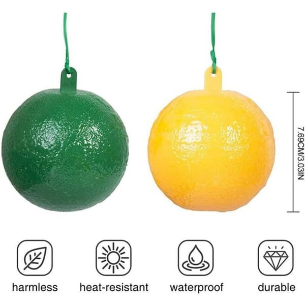 10-pack flugfällor, insektsfällor, fruktflugfällor och 360° runda klibbiga bollar.