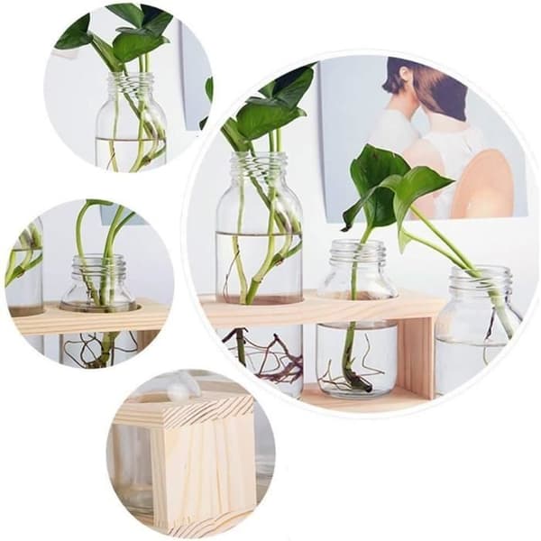Cylindervas i glas - 3 delar - Stativ i massivt trä - Samtida dekoration - Hydroponik