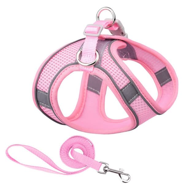 Sæt med sele og snor til små kæledyr - Phoesky - Åndbart net - Blødt - Justerbart - Pink - 150 cm