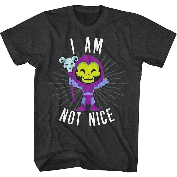 Skeletor I Am Not Nice Masters of the Universe T-shirt L
