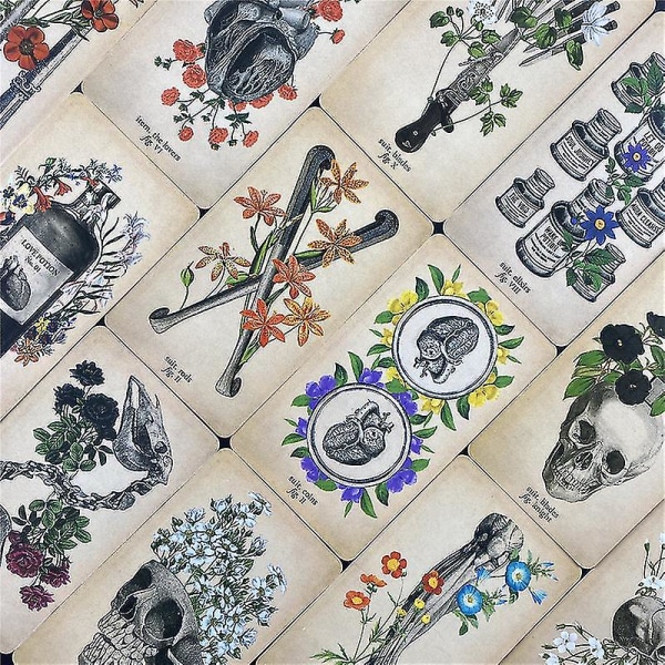 2020 The Antique Anatomy Tarots Deck Full English Divination Oracle Cards Pdf Guidebook78st Tt17