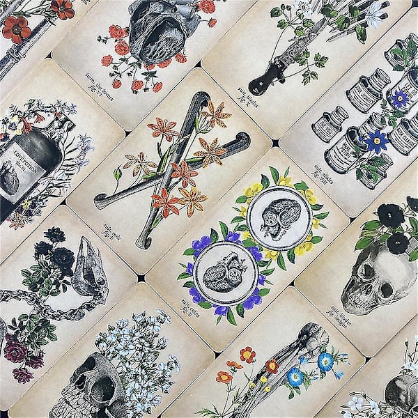 2020 The Antique Anatomy Tarots Deck Full English Divination Oracle Cards Pdf Guidebook52st Ts88