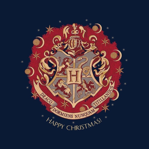 Harry Potter Christmas Hogwarts Crest Huvtröja för barn