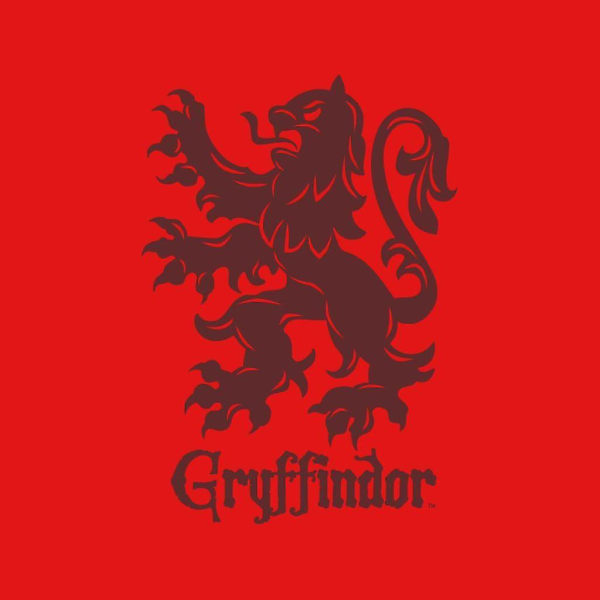 Harry Potter Quidditch Gryffindor Team Badge Barntröja
