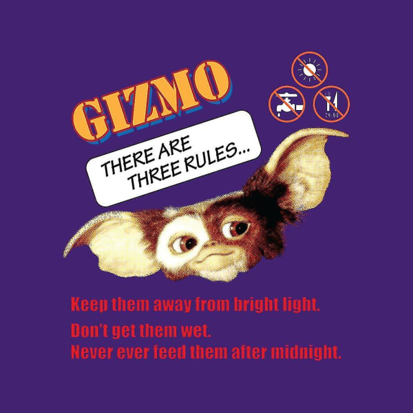 Gremlins Gizmo Det finns tre regler barntröja