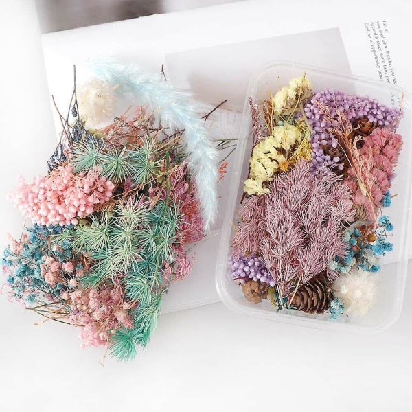 5 lådor med färgglada torkade blommor Plantdoftljus Epoxihänge Halsband gör-det-själv-tillbehör
