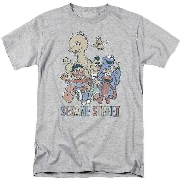 Sesame Street färgglad grupp vuxen T-shirt M