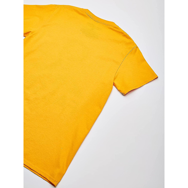 T-line mäns Dwight False The Office T-shirt Large