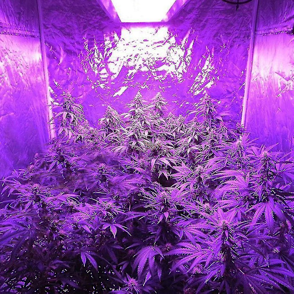 Full Spectrum E27 Led Grow Light Växande Lampa Glödlampa För Blomsterväxt