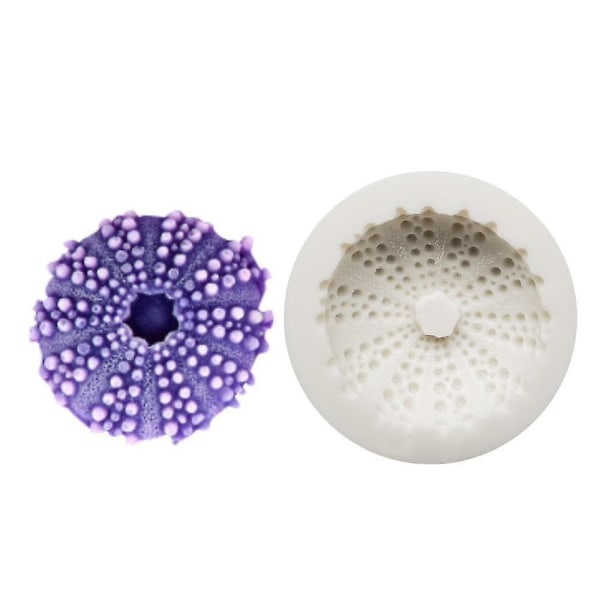 Sea Urchin Shell Form Form