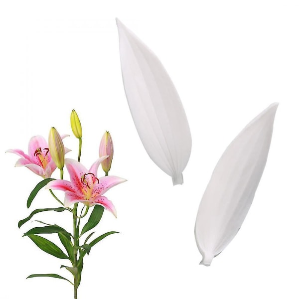 Simulering Lily Flower Leaf Form