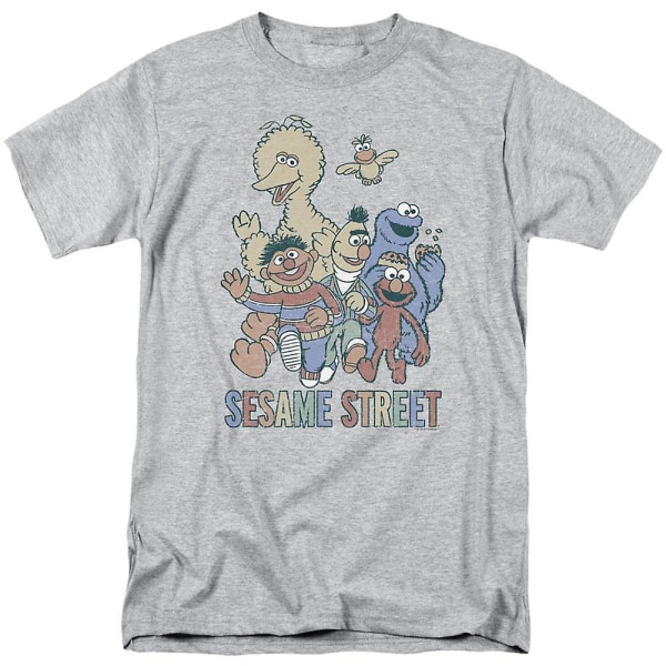 Sesame Street färgglad grupp vuxen T-shirt XL