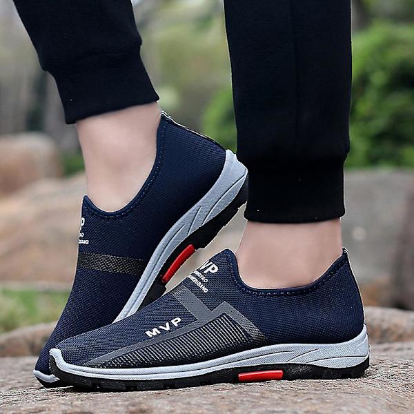 Sommar Mesh Män Skor Lättvikts Sneakers Herr Mode Casual Walking Skor 2G107 Blue 41