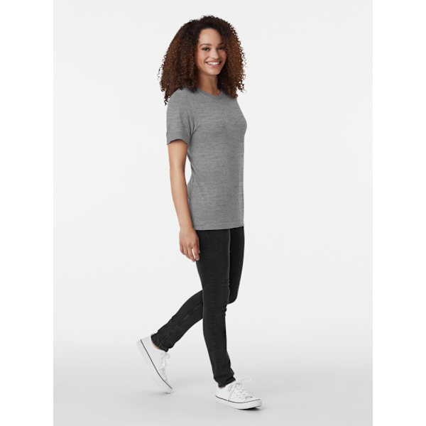 Hermann Hesse Tri-blend T-shirt Grey L_Back