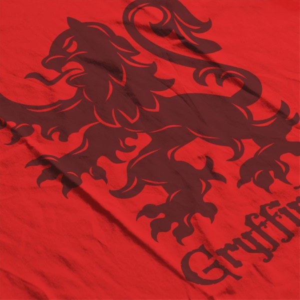 Harry Potter Quidditch Gryffindor Team Badge T-shirt för barn