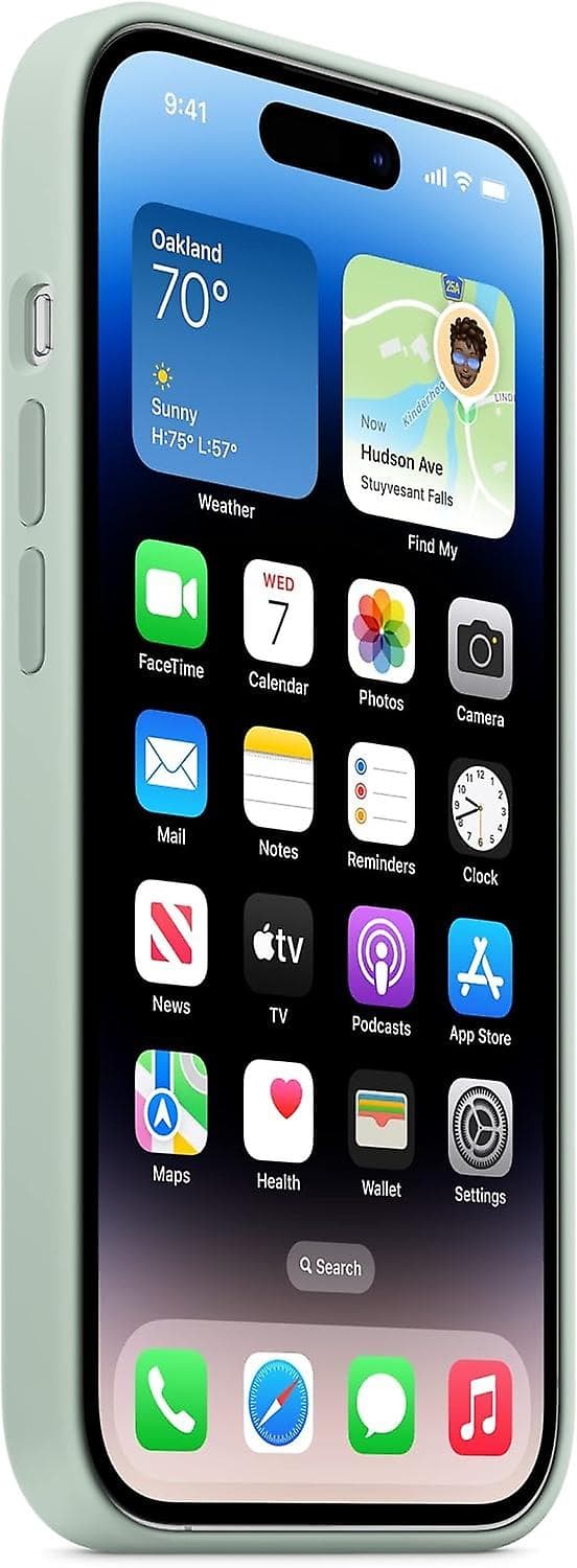 MagSafella varustettu case iPhone 14 Pro - Cactus Blue