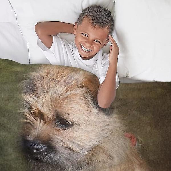 Border Terrier Sherpa Fleece-tæppe-orfm350 80x60in 200x150cm