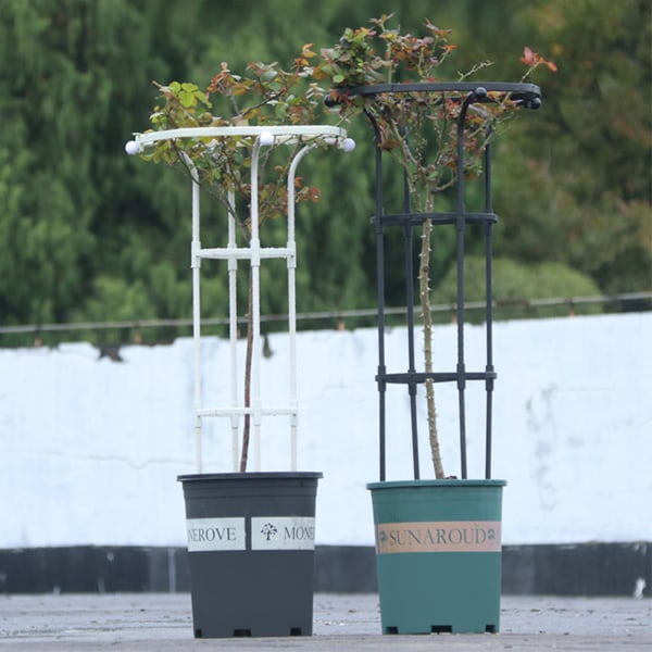 Havearbejde Paraplyformet blomsterholder Klatrestativ Havegitter til klatreplanter og blomster Black 11*72.7In