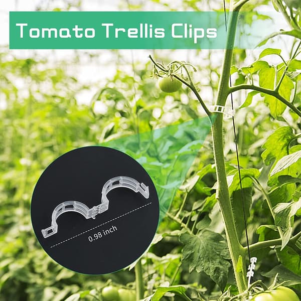Tomatkrok - tomatkrok - växthuskrok - druv-vattenmelonskrok (vit)