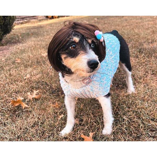 Rolig hundperuk för små, medelstora och stora hundar med, trimningsbar husdjursdräkt katt cosplay dekoration för Halloween.