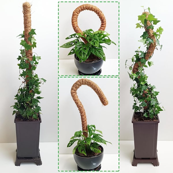 2-pack mosspinnar, 25 tum böjbar mosspinnar för växter Monstera, mosspinnar för klätterväxter inomhus
