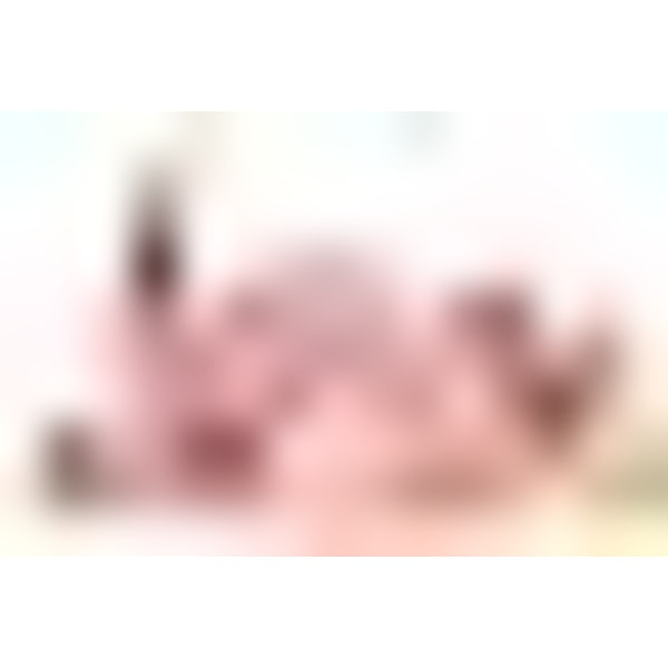 Slowpoke Gosedjur Plyschkudde Stor 17,7 tum