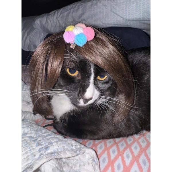 Rolig hundperuk för små, medelstora och stora hundar med, trimningsbar husdjursdräkt katt cosplay dekoration för Halloween.
