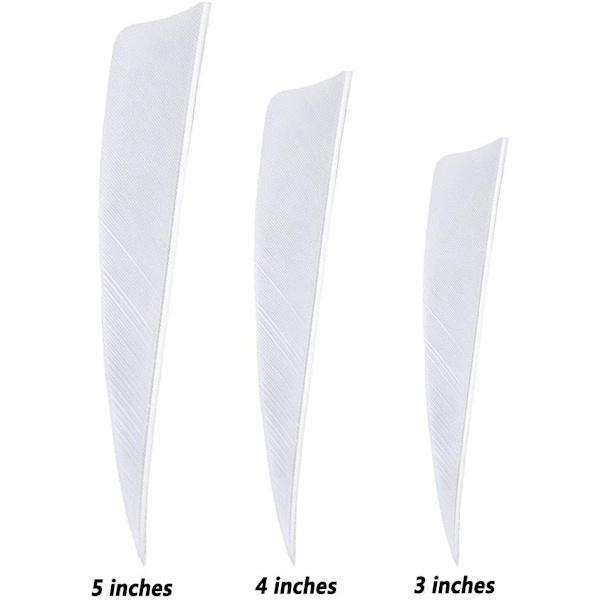 Fjer 3 tommer 4 tommer 5 tommer kalkunfjer pilefletning skjold højre naturlige vinger egnet til DIY pilefletning White