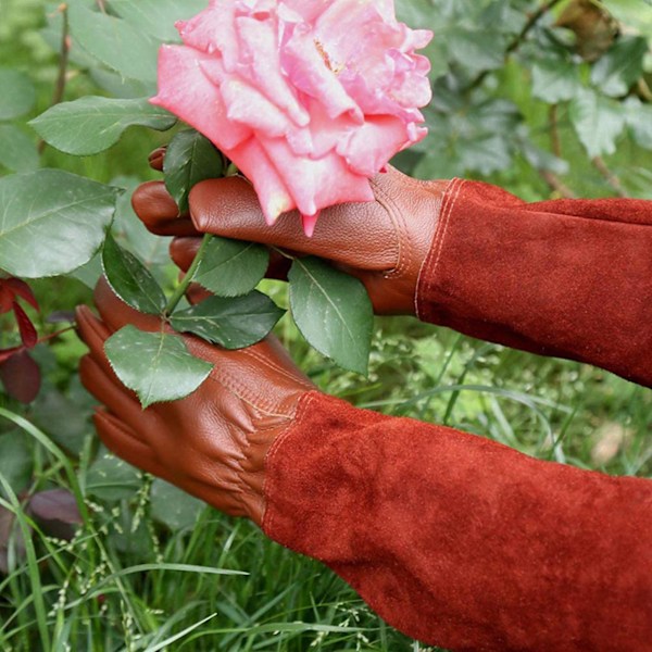 Sklisikker Anti-punktering Rosebeskjæring Blomsterhanske Hagehanske
