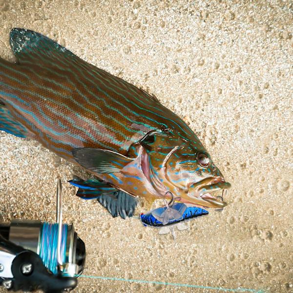 3-pack fiskedrag med propellerdesign för öring, gädda, abborre, sötvatten och saltvatten 3pcs