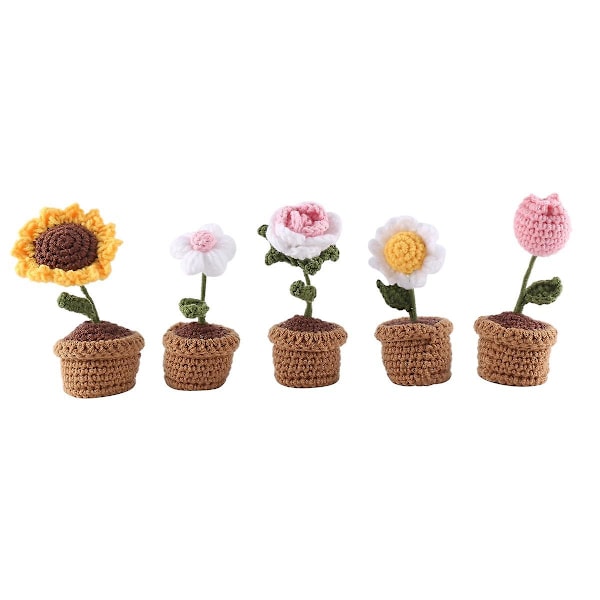 5 st Krukväxter Kit För , Färdig Produkt (flerfärgad)