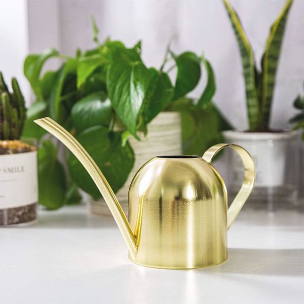 Vattenkanna i rostfritt stål, liten vattenkanna med lång pip för inomhus- och utomhusväxter, suckulenter, 500 ml (guld)