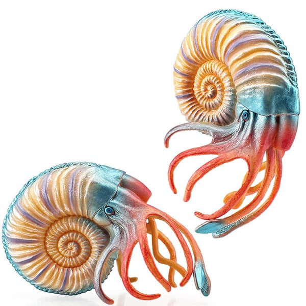 Staty Figur Modell Eremitkräfta/Nautilus Kontorsleksak Småbarn Utbildning