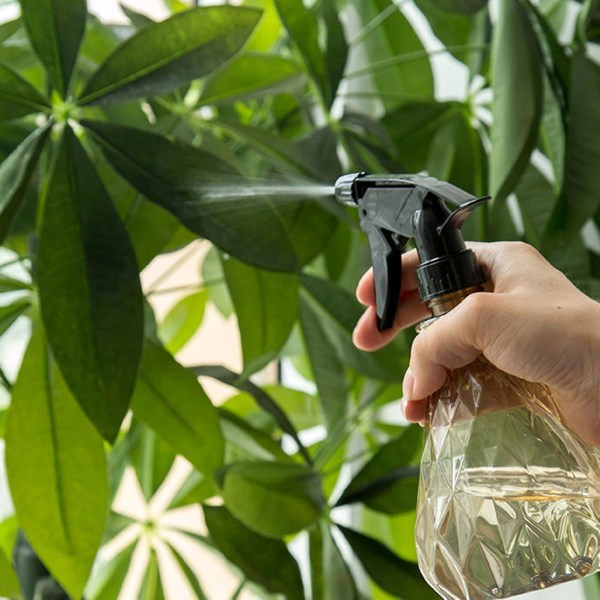 500 ml Sprayflaska Transparent Stor kapacitet Plast Bärbart Ergonomiskt Handtag Vattenflaska Hushållsartiklar Green