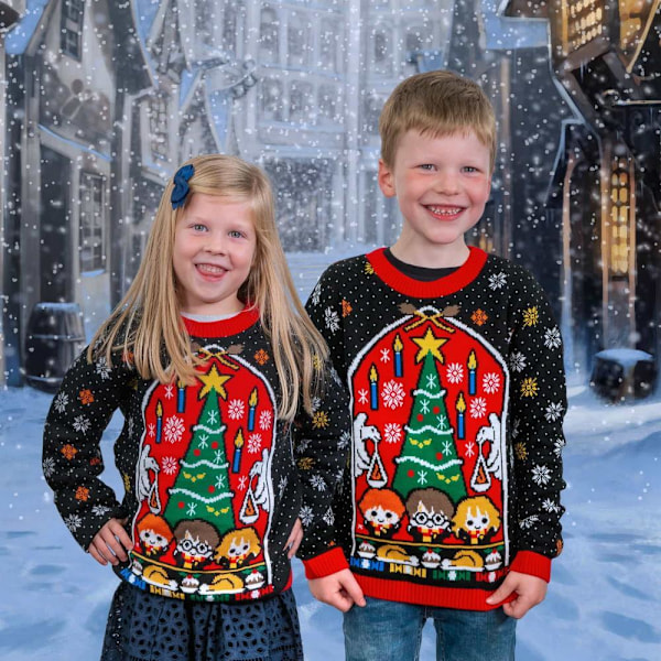 Jultröja - Harry Potter (Harry, Ron, Hermoine) S