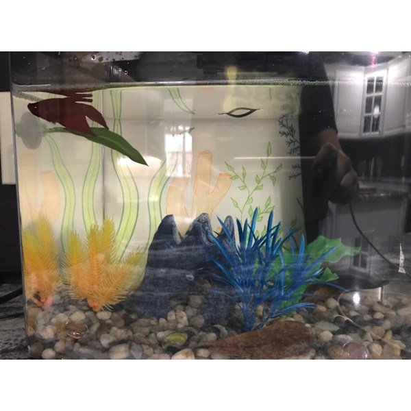 Flytende blad hengekøye Betta seng hengekøye form ark for akvarium,