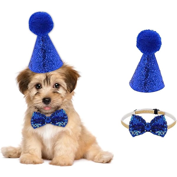 #Födelsedagshätta för blåa husdjur Hund Katt Hätta med fluga, Husdjur Hund Födelsedag#