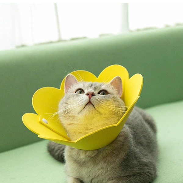 #Skyddskrage Blomdesign Anti-Lick Eva Katt Skyddskrage för I#