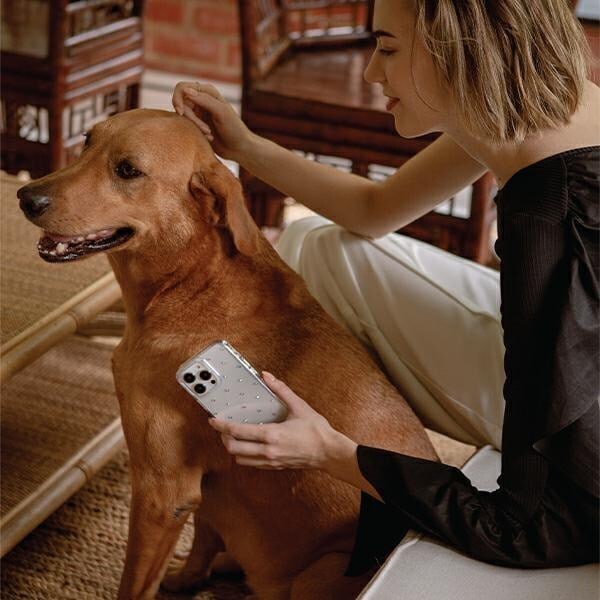 UNIQ Coehl Solitaire iPhone 14 6.1 deksel gjennomsiktig/klar