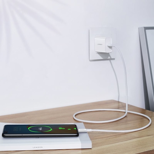 Ugreen USB Type C - USB Type C PD-kabel 100W 5A 2m hvit (US300)