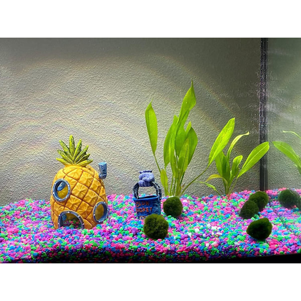 Akvarium dekorasjon, Ananashus, undervannslandskap