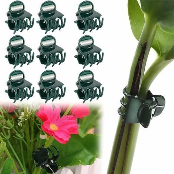 100 st växtklämmor, blomklämma, orkidéklämmor, växtset, för tillbehör för att stödja växter inomhus och utomhus
