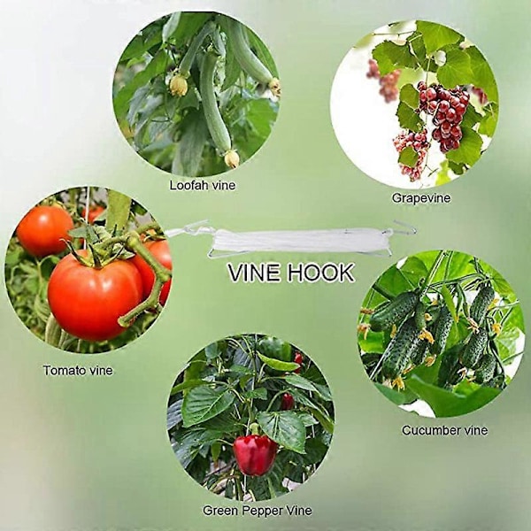 Tomatkrok Rulltrådskrok Tomatkrok Vinstockskrok Växthusväxtkrok 10 st