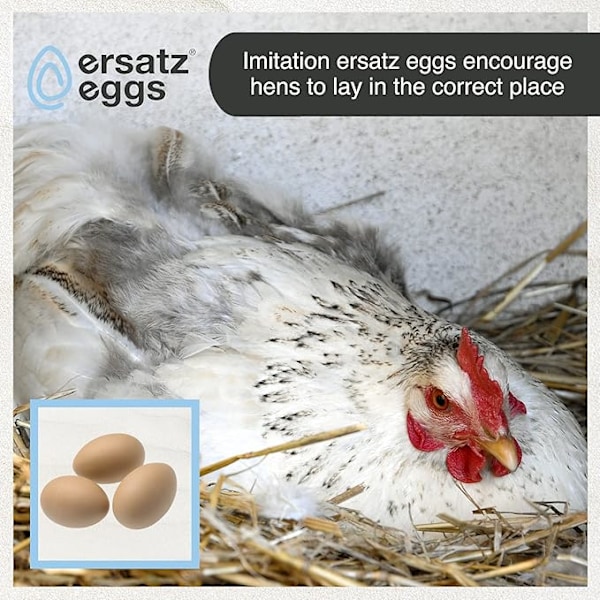 Falske Kyllingegg Sett Tre Falske Egg Hjelper Høner med Egglegging DXGHC