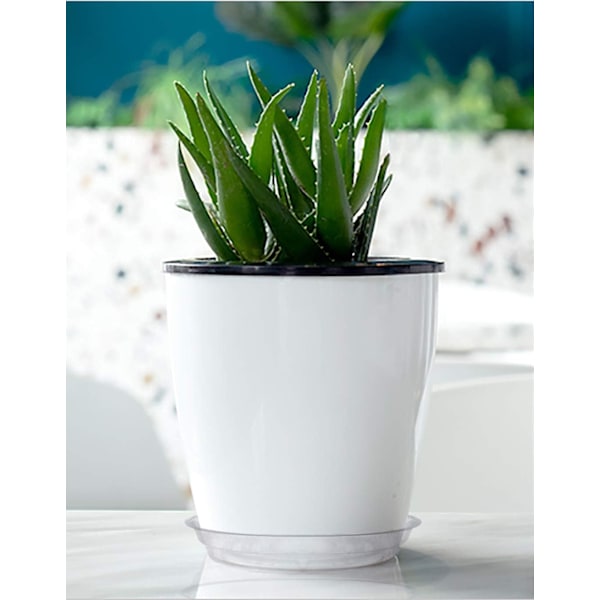 Transparente Plantebakke-Underlag til Indendørs og Udendørs Haveplanter Potte 10 stk 25 cm
