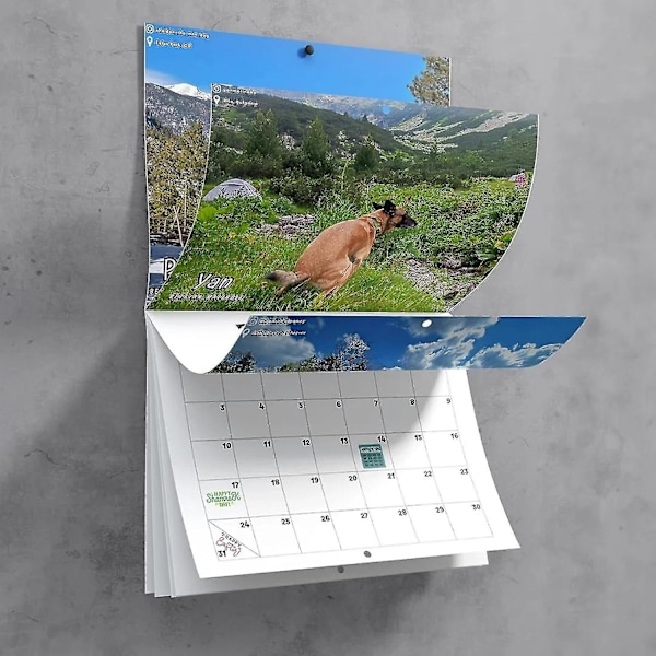 2025 Kalender, Hundbajs på vackra platser väggkalender, Hundbajs väggkalender, Rolig väggkonst skämt humor prank kalender